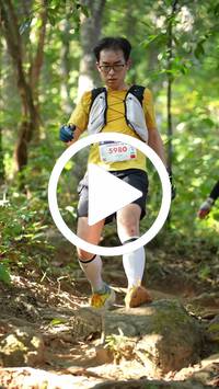 BIB:  <button type="button" onclick="openModal(27636445)" class="btn btn-primary btn-sm float-right" data-toggle="modal" data-target=".modal-high-quality">
                <i class="fa fa-download"></i> Download
                </button>